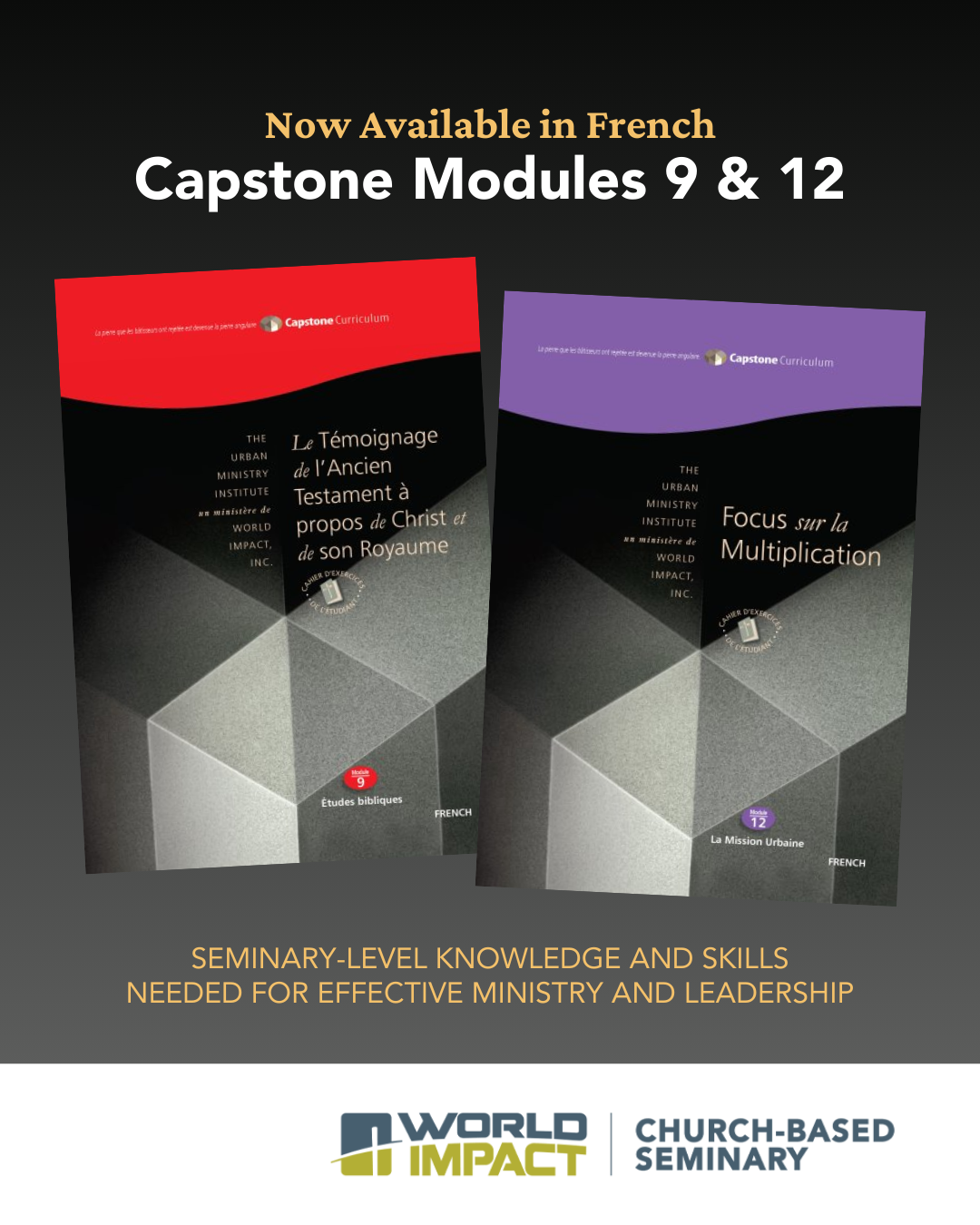 Capstone Modules 9 and 10 now available in French.