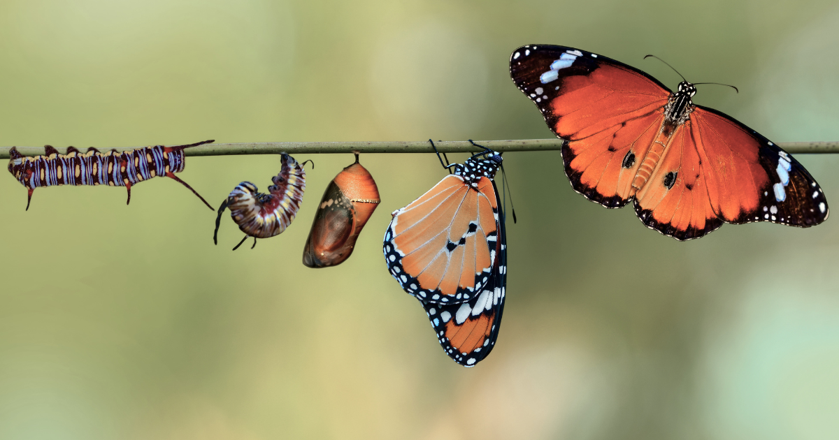 How Church Planting Can Multiply the Church Through Transition